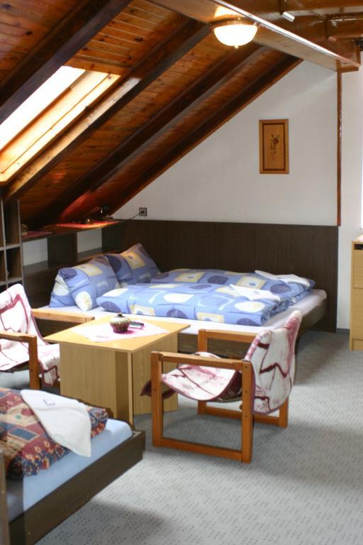 Pension U Vlasku Karlovy Vary Oda fotoğraf
