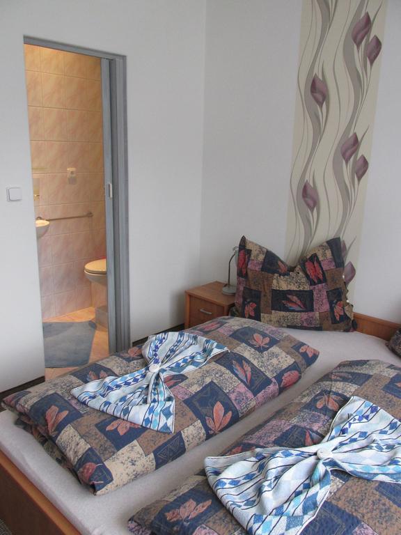 Pension U Vlasku Karlovy Vary Oda fotoğraf